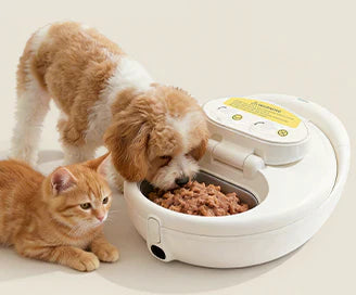 Meet UBPet F21: Zero-Mess Wet & Dry Smart Feeder