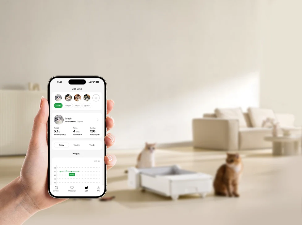 UBPet Open-Air Litter Box: A Simple Guide to Network Setup & Troubleshooting